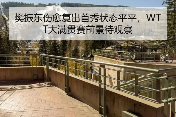 樊振东伤愈复出首秀状态平平，WTT大满贯赛前景待观察